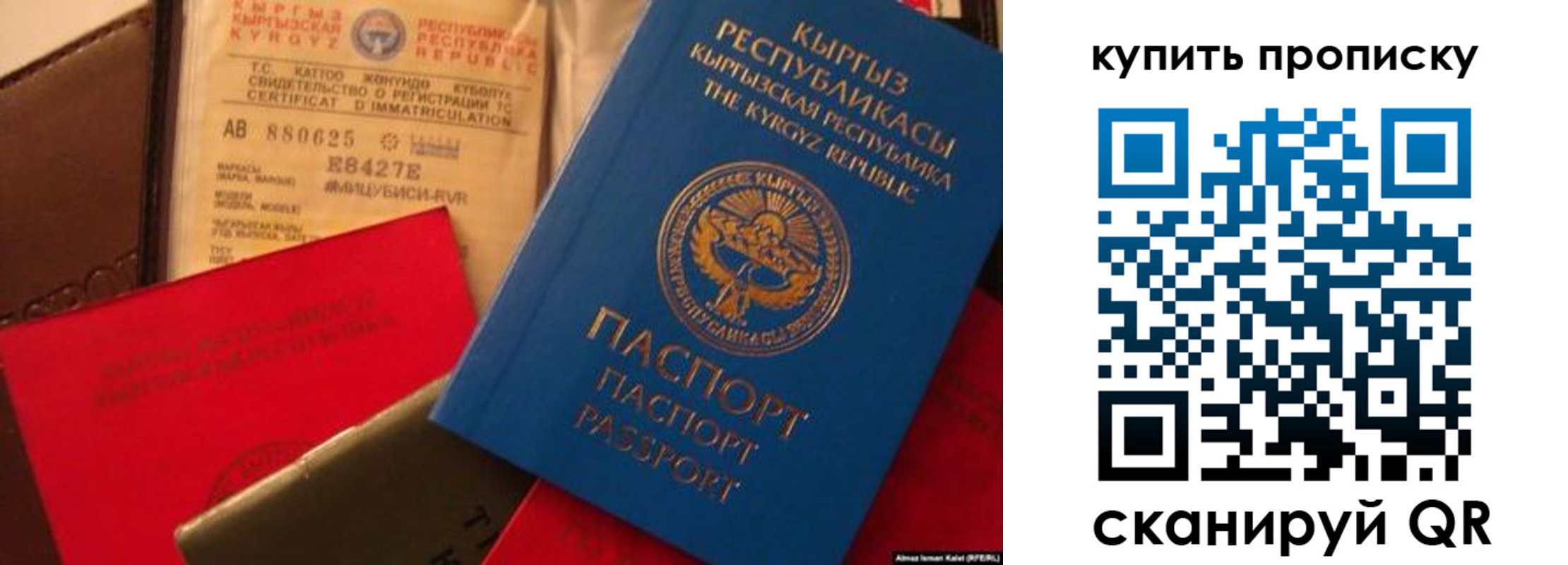миграционный учет в Курской области