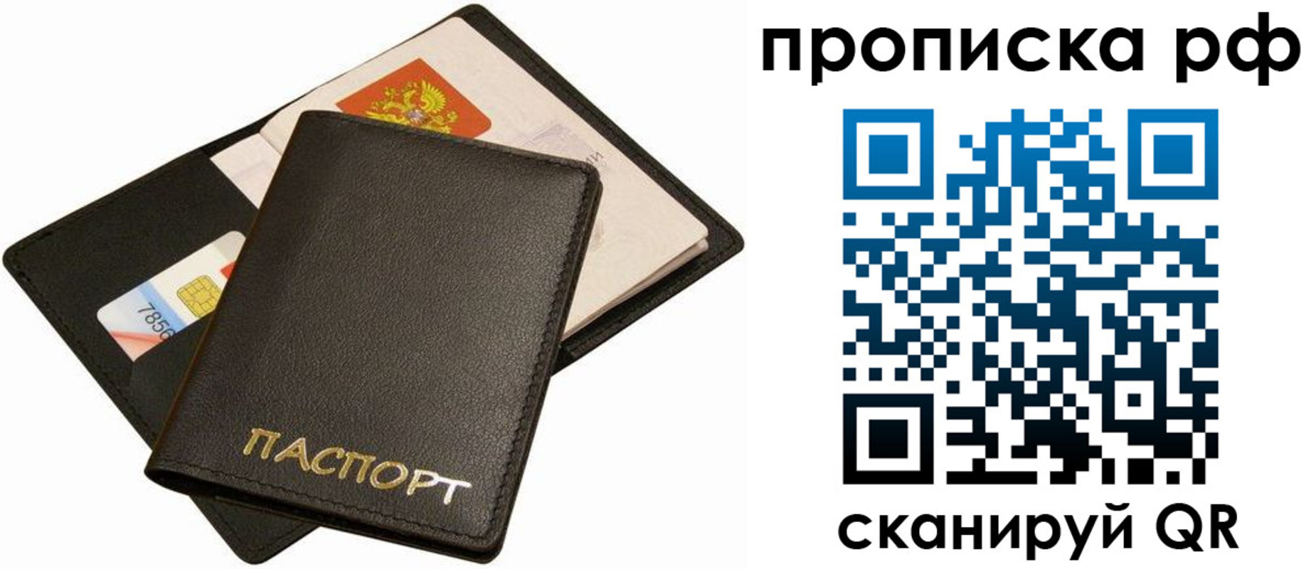 временная регистрация надежно в Курской области